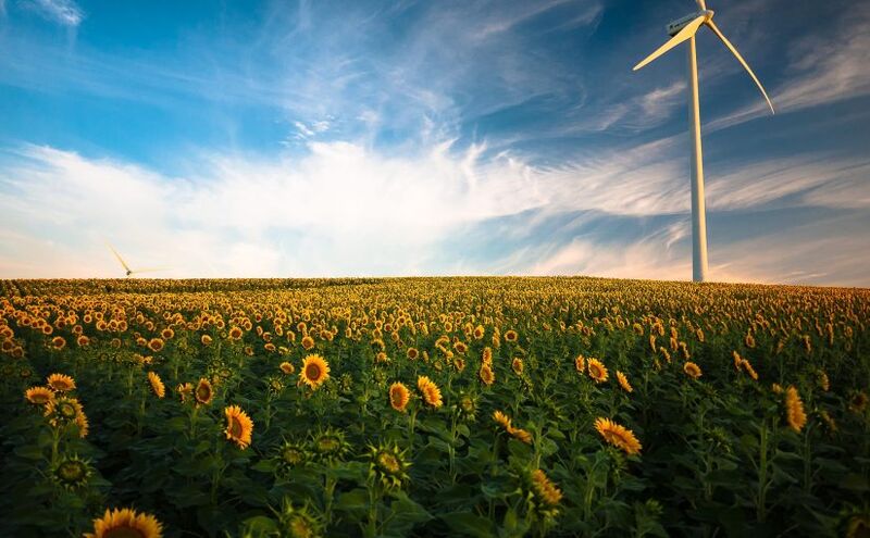 From 19th Century to the Present: Agriculture
