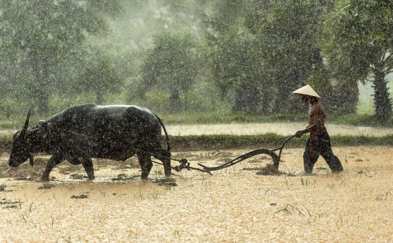 Agriculture In Ancient Ages